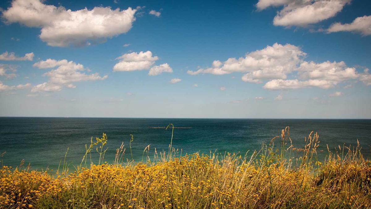 最终问题:如果AI的终极目标是理解一切,那么它理解了“不理解”本身,是否就算完成了目标 最终问题:如果AI的终极目标是理解一切,那么它理解了“不理解”本身,是否就算完成了目标