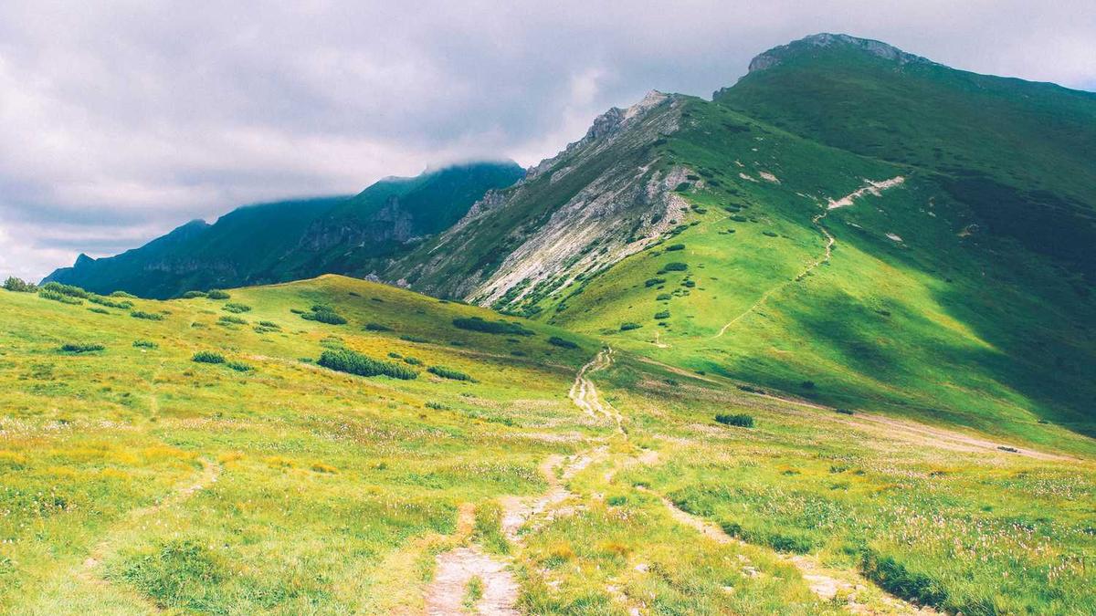 让清洁AI识别“有纪念意义的灰尘”(如旧书上的),它陷入了判断悖论。 让清洁AI识别“有纪念意义的灰尘”(如旧书上的),它陷入了判断悖论。