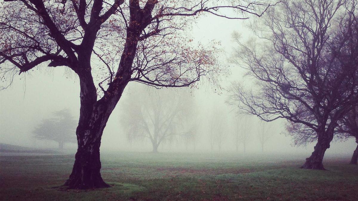 俱乐部青训营培养的球员成名后,其早期训练视频所有权引发纠纷,俱乐部以此要挟分成。 俱乐部青训营培养的球员成名后,其早期训练视频所有权引发纠纷,俱乐部以此要挟分成。